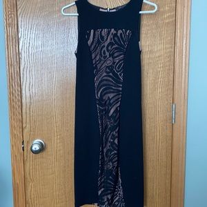 BCBG Small Fitted Lace Detail Dress